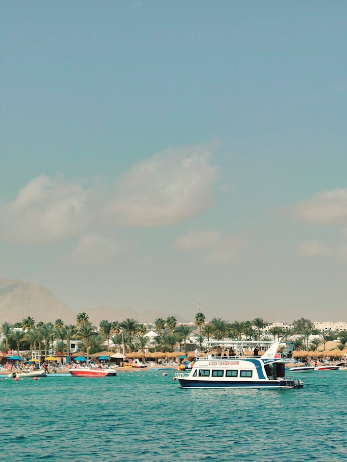 Pleasure boat sails along a vibrant, palm-lined beach under a clear sky, ideal for summer getaways.