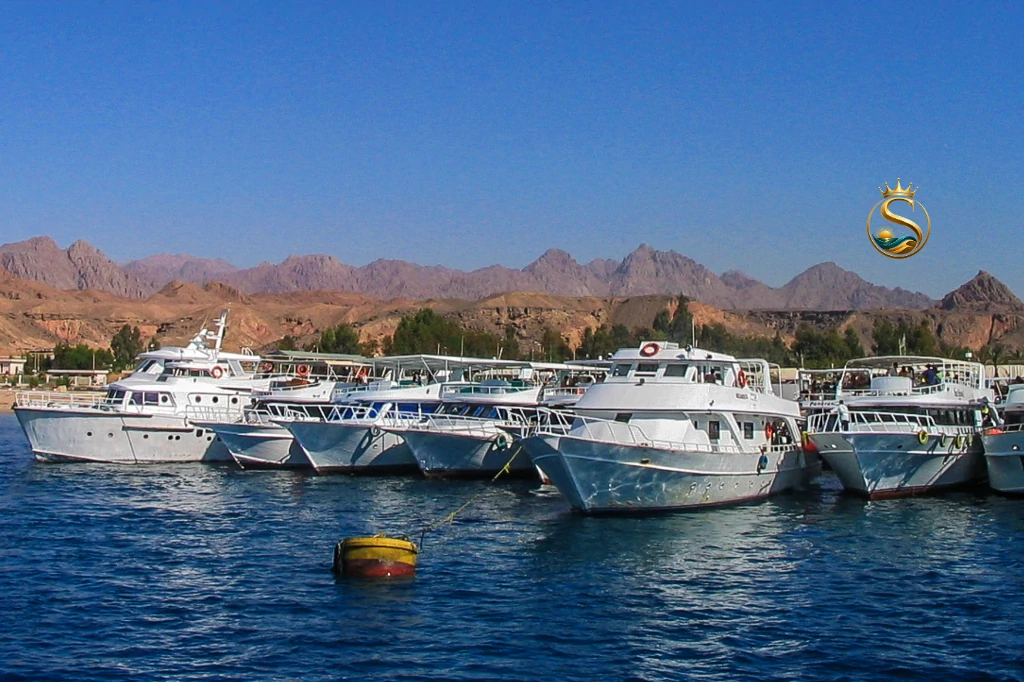 White Island Snorkeling Boat Trip from Sharm El Sheikh