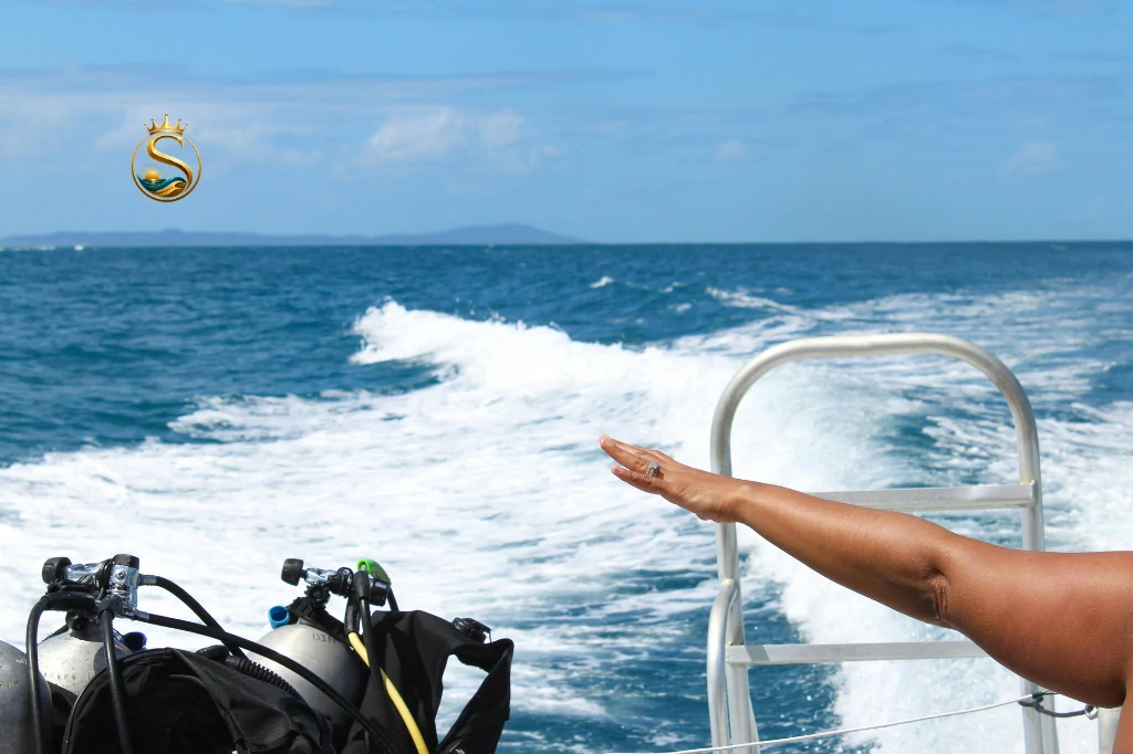 Ras Mohammed Snorkeling & Diving Boat Trip from Sharm El Sheikh