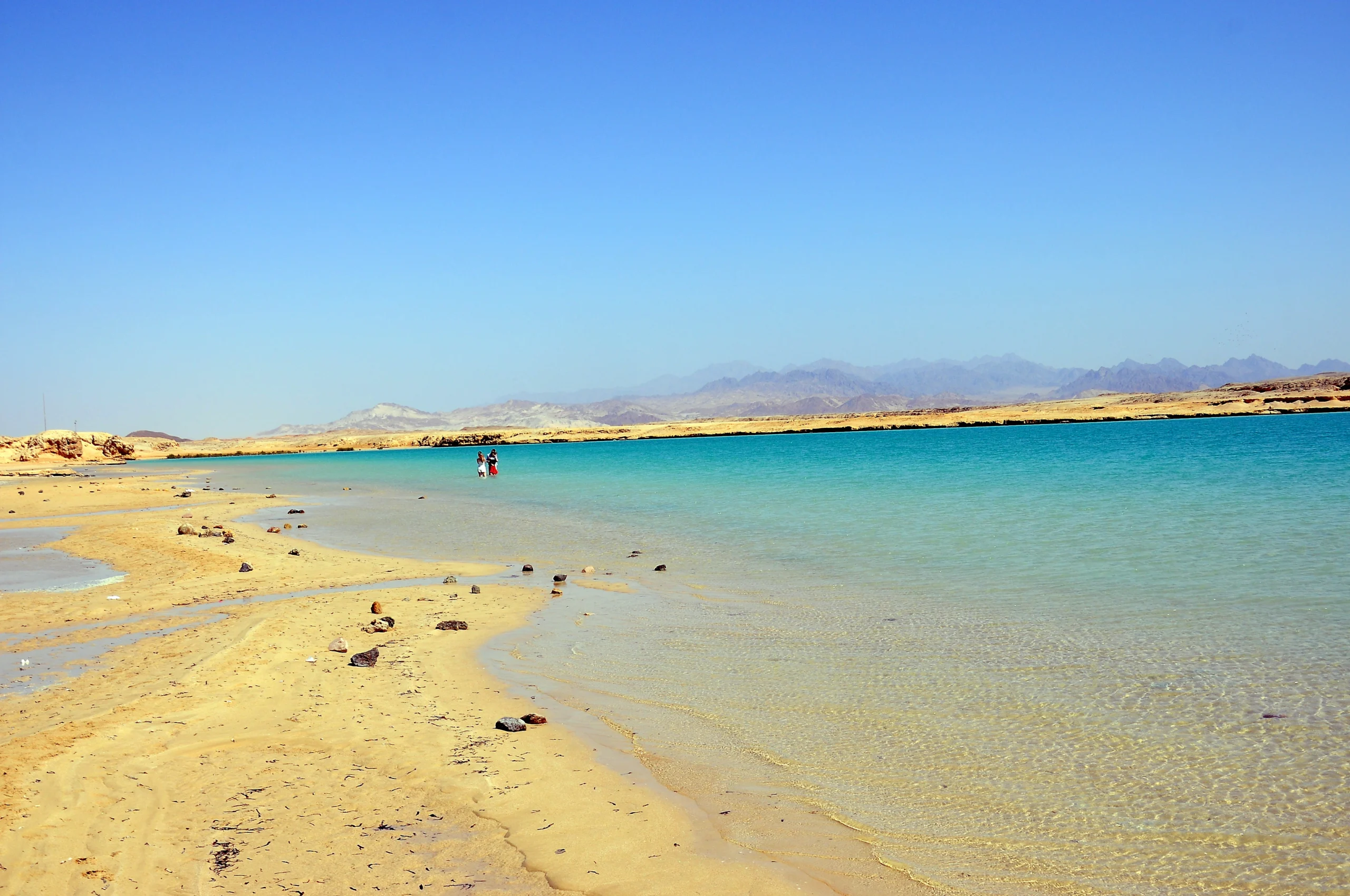 Mangrove Canal gallery Ras Mohammed Sharm El Sheikh