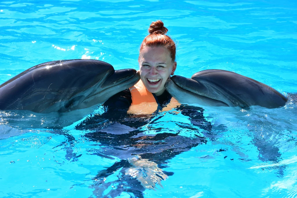 Guests Swimming with Dolphins Sharm El Sheikh