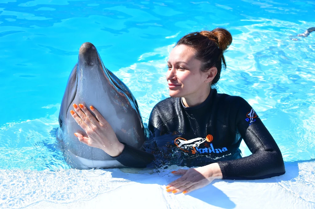 Dolphin pool experience Sharm El Sheikh