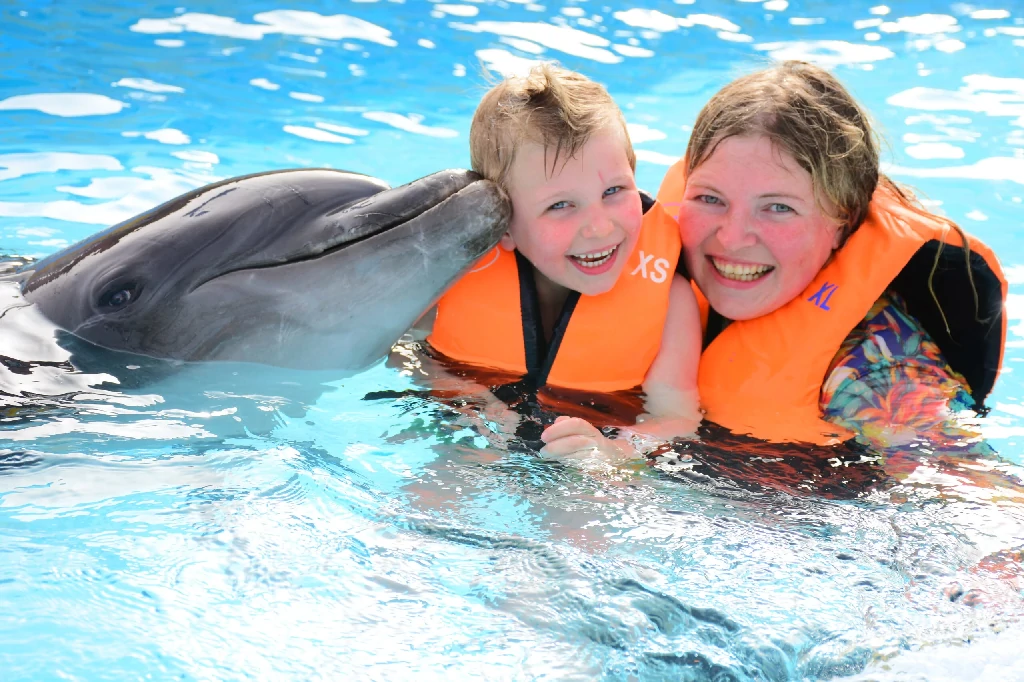 Swimming with Dolphins Sharm El Sheikh