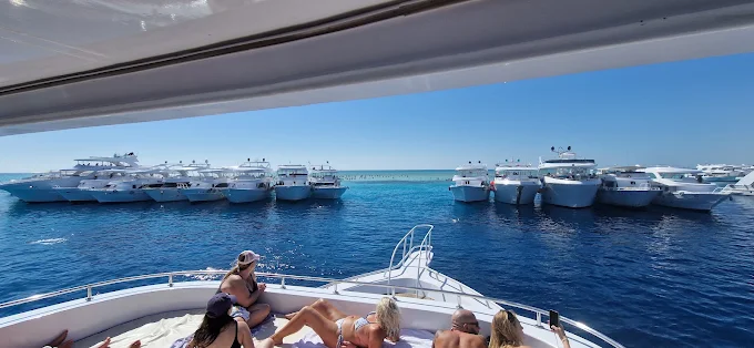 Ras Mohammed & White Island Snorkeling Boat Trip