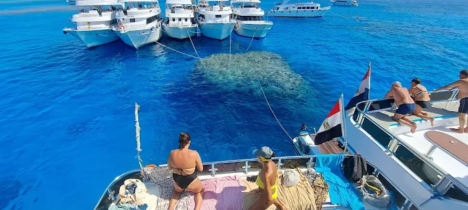 White Island sandbank Sharm El Sheikh