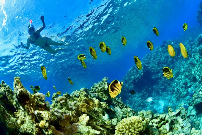 Ras Mohammed White Island boat tour gallery Sharm El Sheikh
