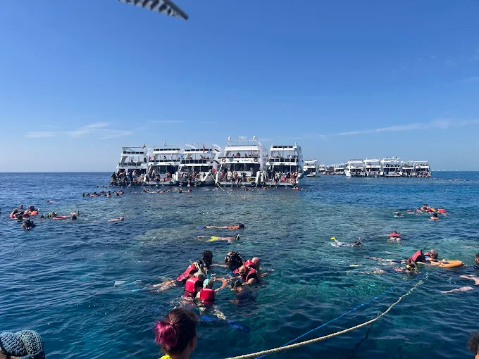 Snorkeling boat trip Sharm El Sheikh