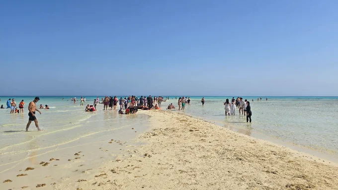 Ras Mohammed coral reef gallery Sharm El Sheikh