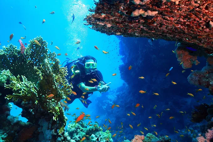 Beginner dive instructor gallery Sharm El Sheikh