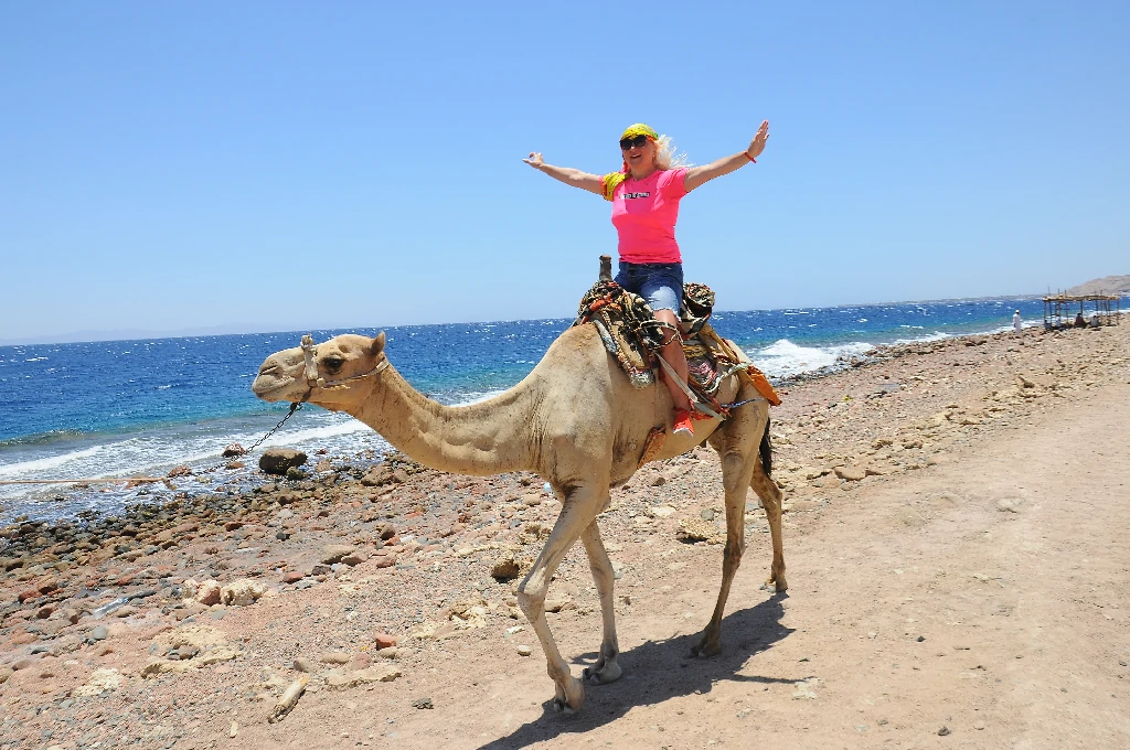 Colored Canyon Salama gallery Sinai