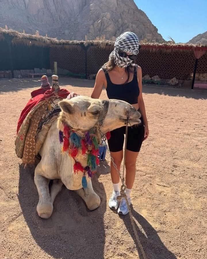 Bedouin camp evening gallery Sharm El Sheikh