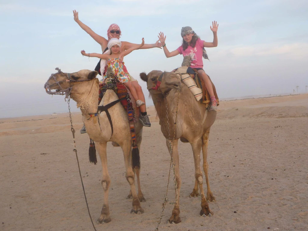 Bedouin dinner evening gallery Sharm El Sheikh