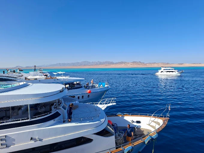 Beginner scuba dive Ras Mohammed National Park Sharm El Sheikh