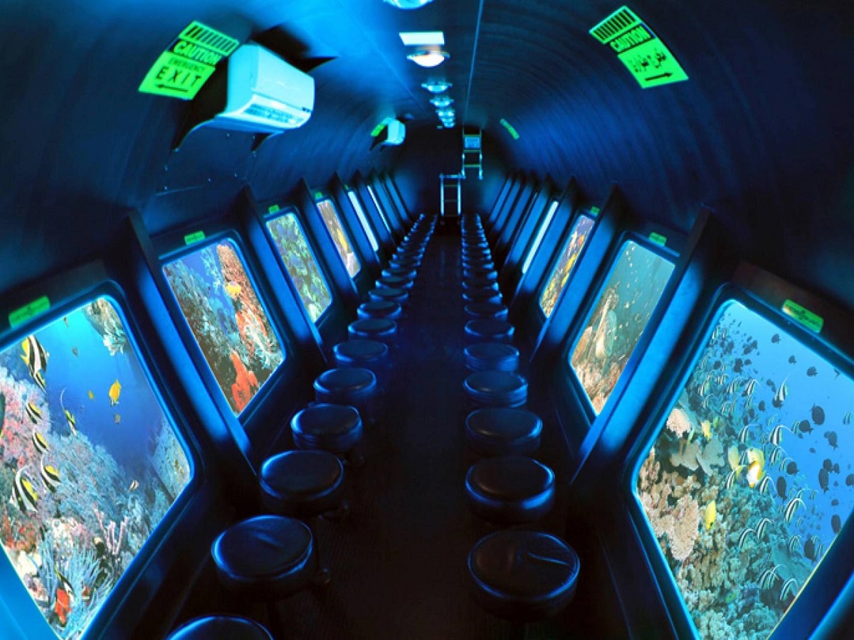 Underwater coral reef view Sharm El Sheikh