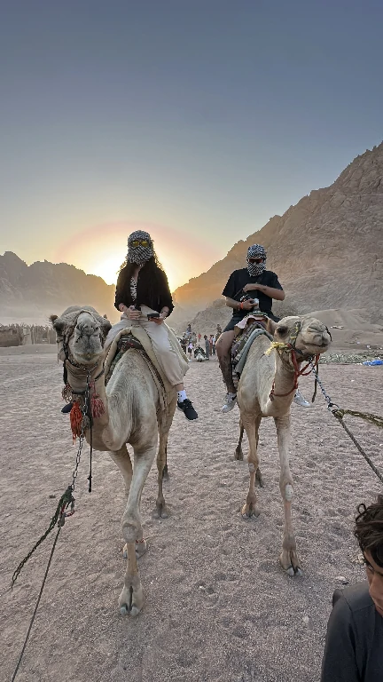 Camel ride gallery stargazing tour Sharm El Sheikh
