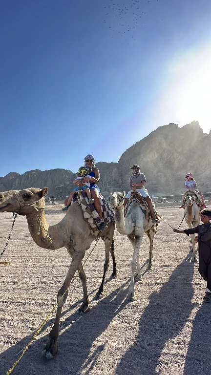 Camel ride gallery Sharm El Sheikh buggy safari