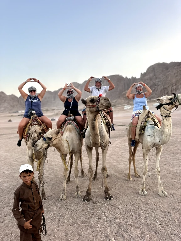 Camel ride gallery Bedouin Dinner Sharm El Sheikh